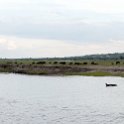 BWA NW Chobe 2016DEC04 River 114 : 2016, 2016 - African Adventures, Africa, Botswana, Chobe River, Date, December, Month, Northwest, Places, Southern, Trips, Year